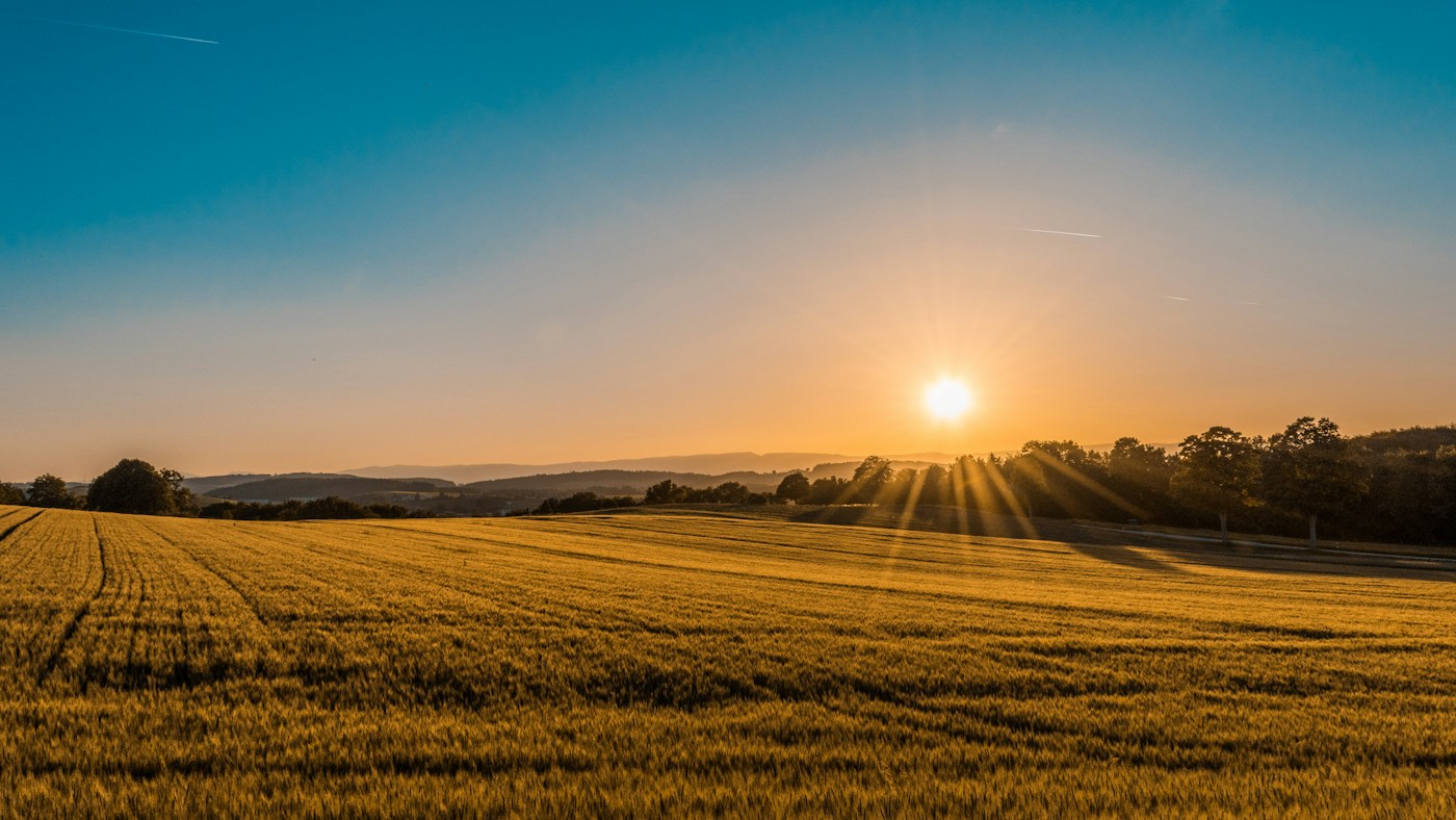 Illustrative cultivated landscape at sunset